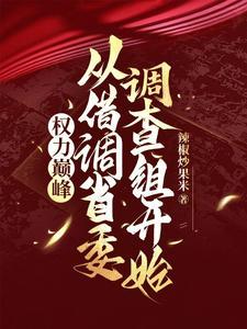 权力巅峰从借调省委调查组开始视频