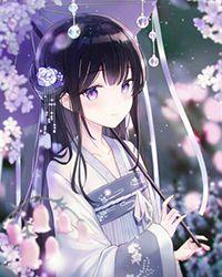 苏菲老李的