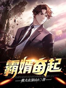 霸婿崛起