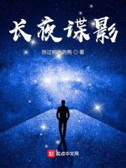 长夜谍影txt精校版